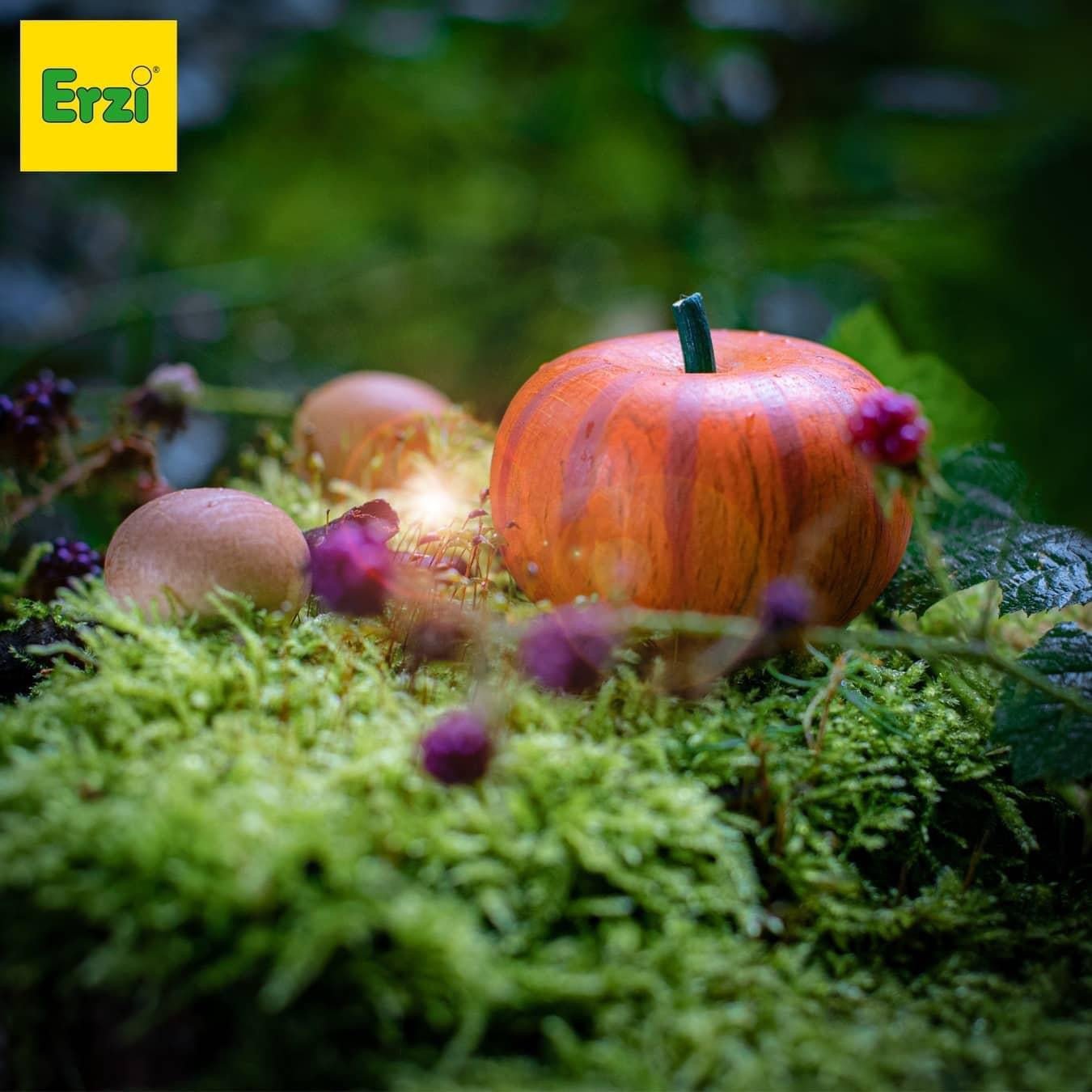 Wooden play food pumpkin