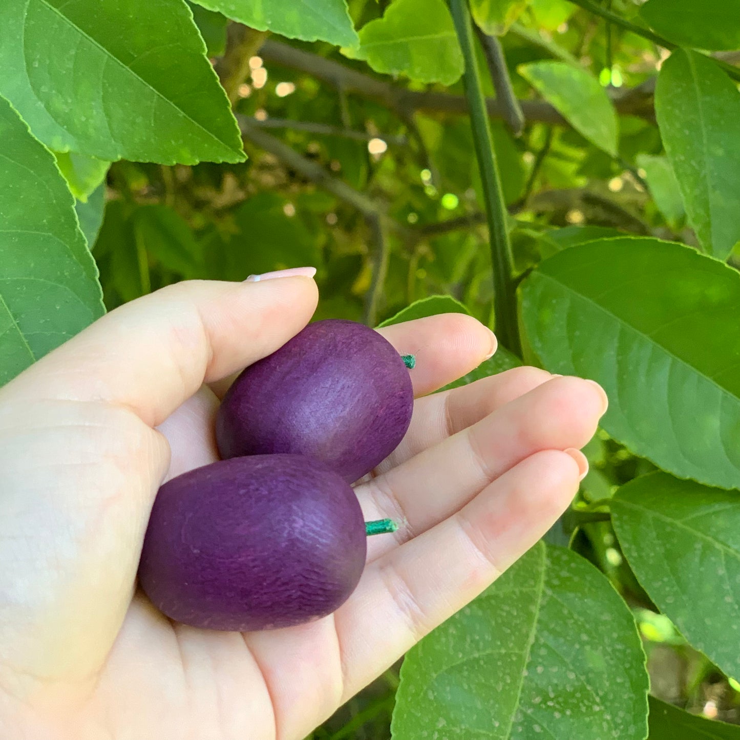 erzi wooden play food plums