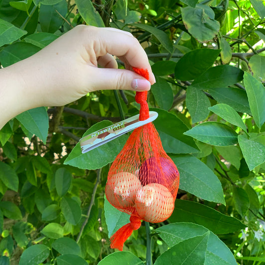 erzi play food wooden onions in net