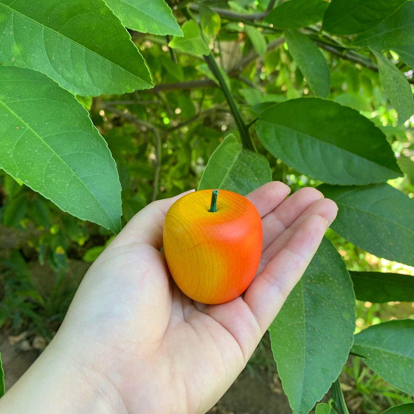 erzi sustainable wooden apple