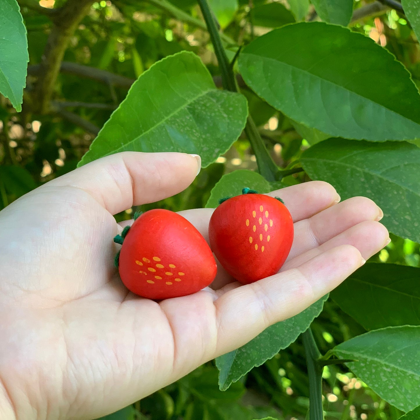 erzi wooden toys strawberries