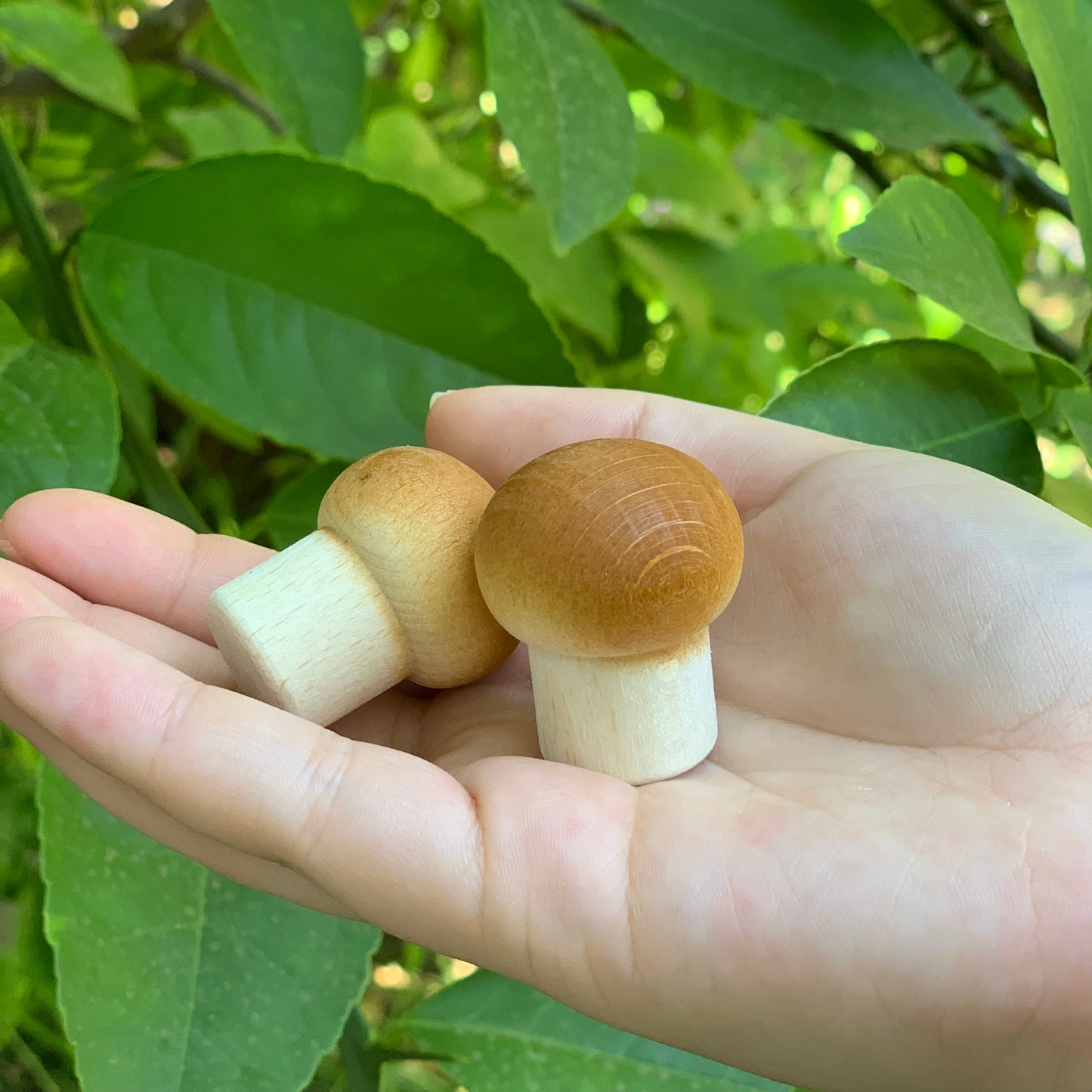 Erzi Play Food 2 Natural Wooden Mushrooms
