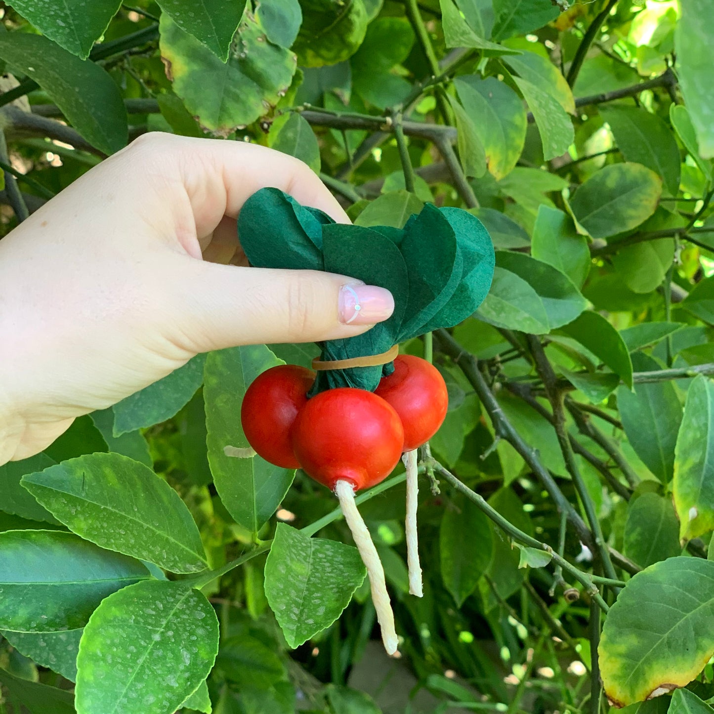 erzi wooden play food radish