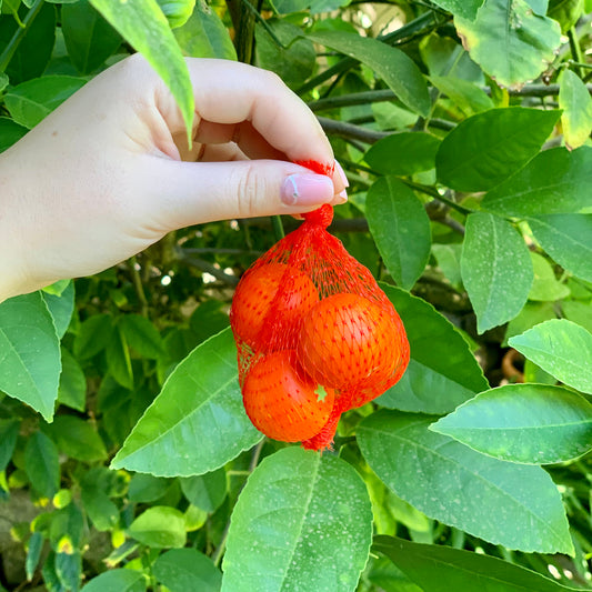 erzi wooden tangerines in net