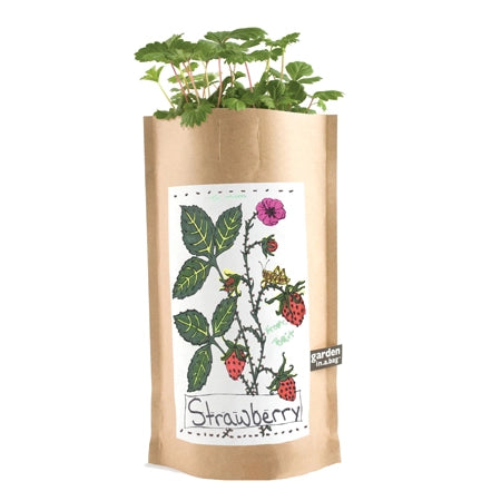 strawberry plant grow bag Strawberry in a Bag Grow Kit | Made in USA