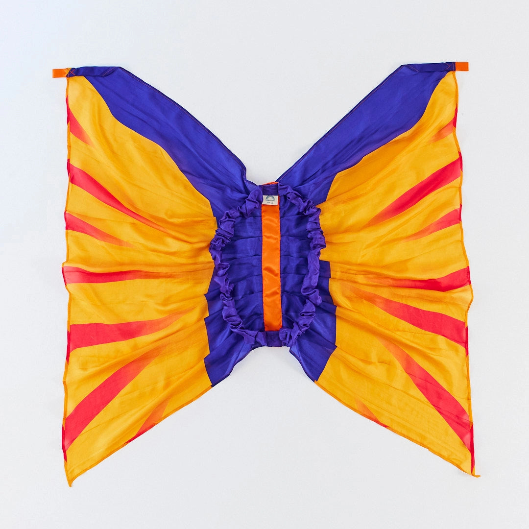 Back of Sarah's Silks Pterodactyl costume wings