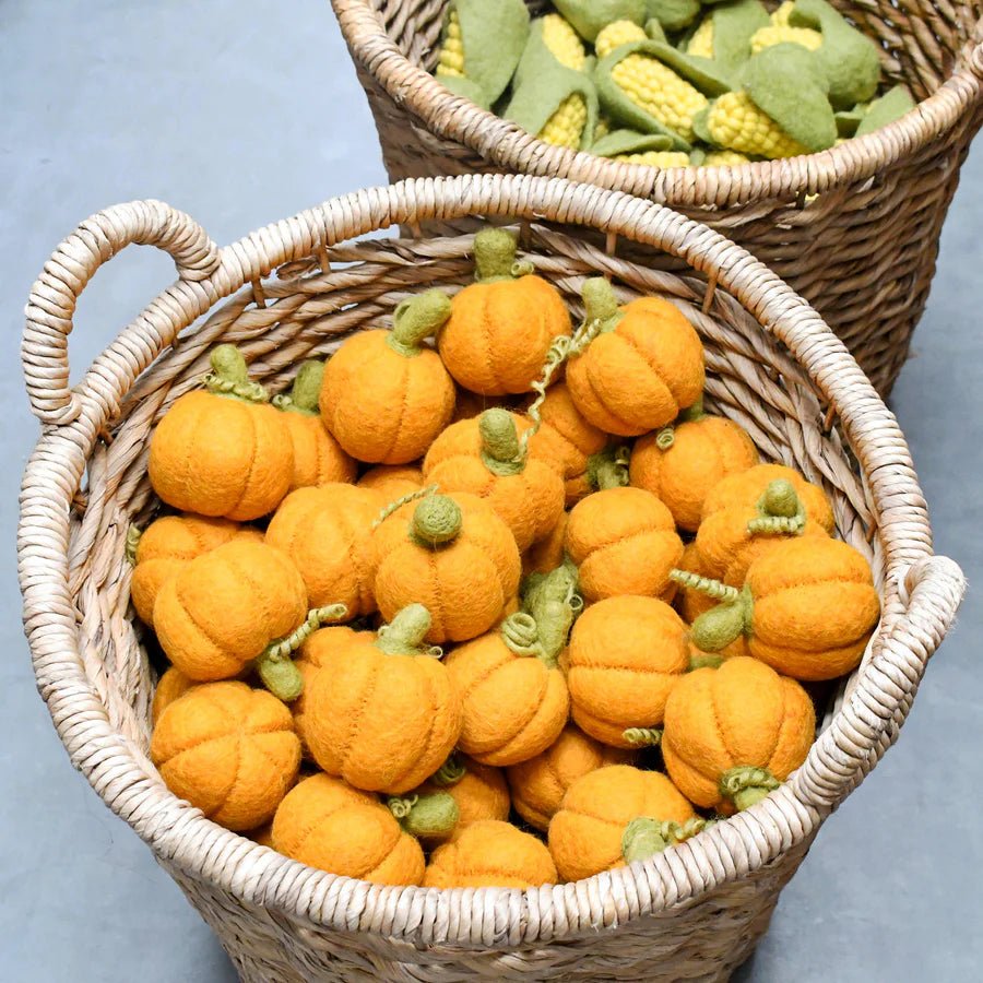 Needle-felted Play Food Pumpkin