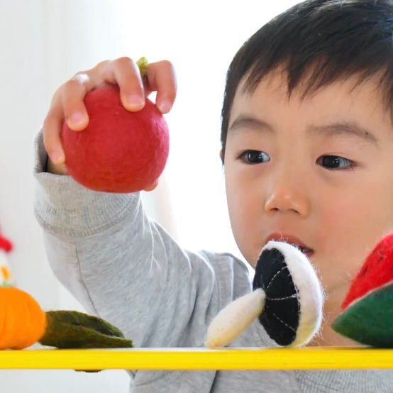 eco-friendly felt play food fruit apple