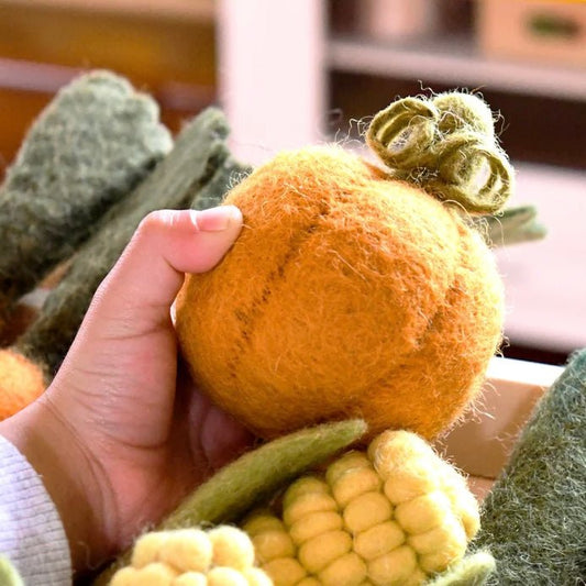 natural felted play food pumpkin toy
