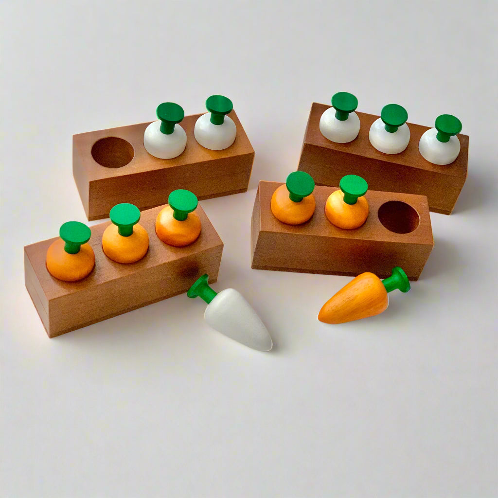 qtoys wooden toy carrot garden