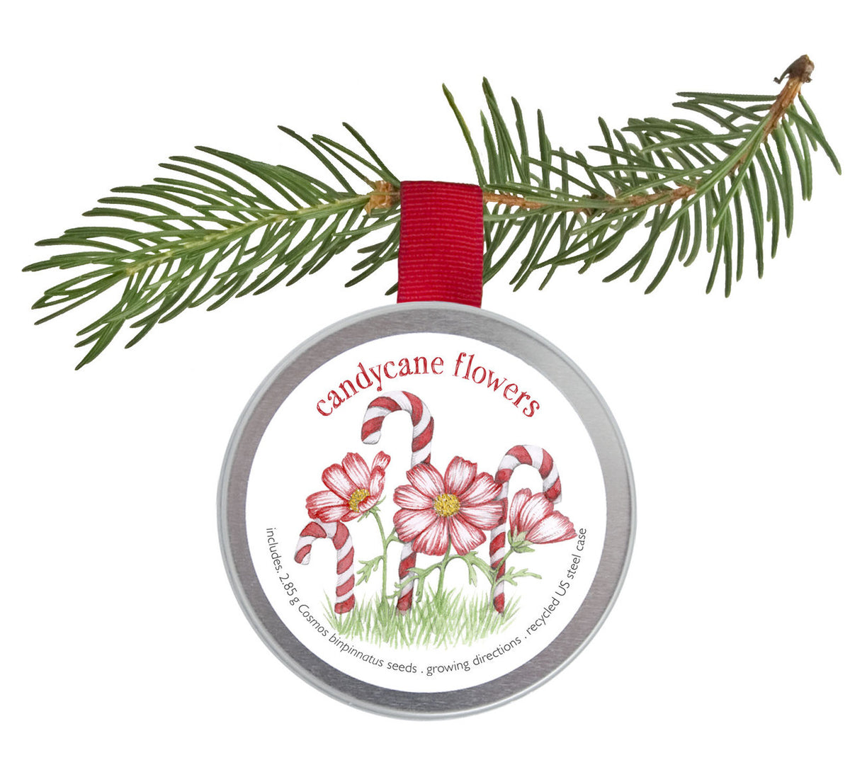 A tin ornament filled with candy cane flower seeds with an illustration of red and white flowers and candy canes, hanging from a red ribbon from a  Christmas tree branch 