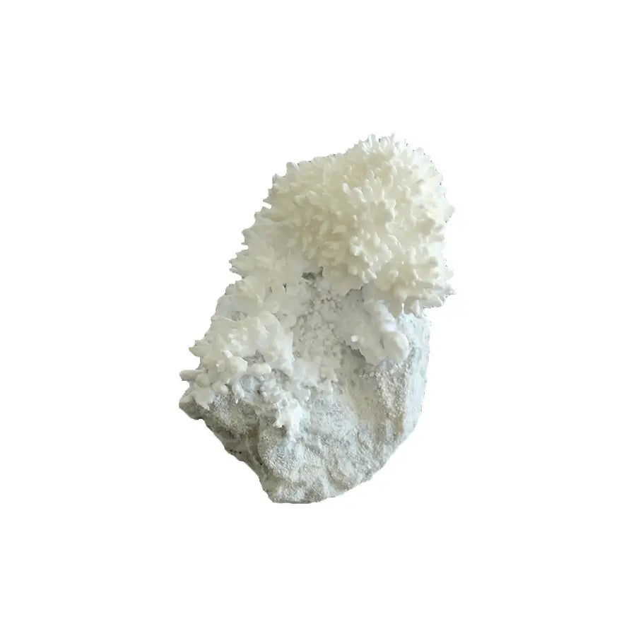 Crystal grown from rock for kids