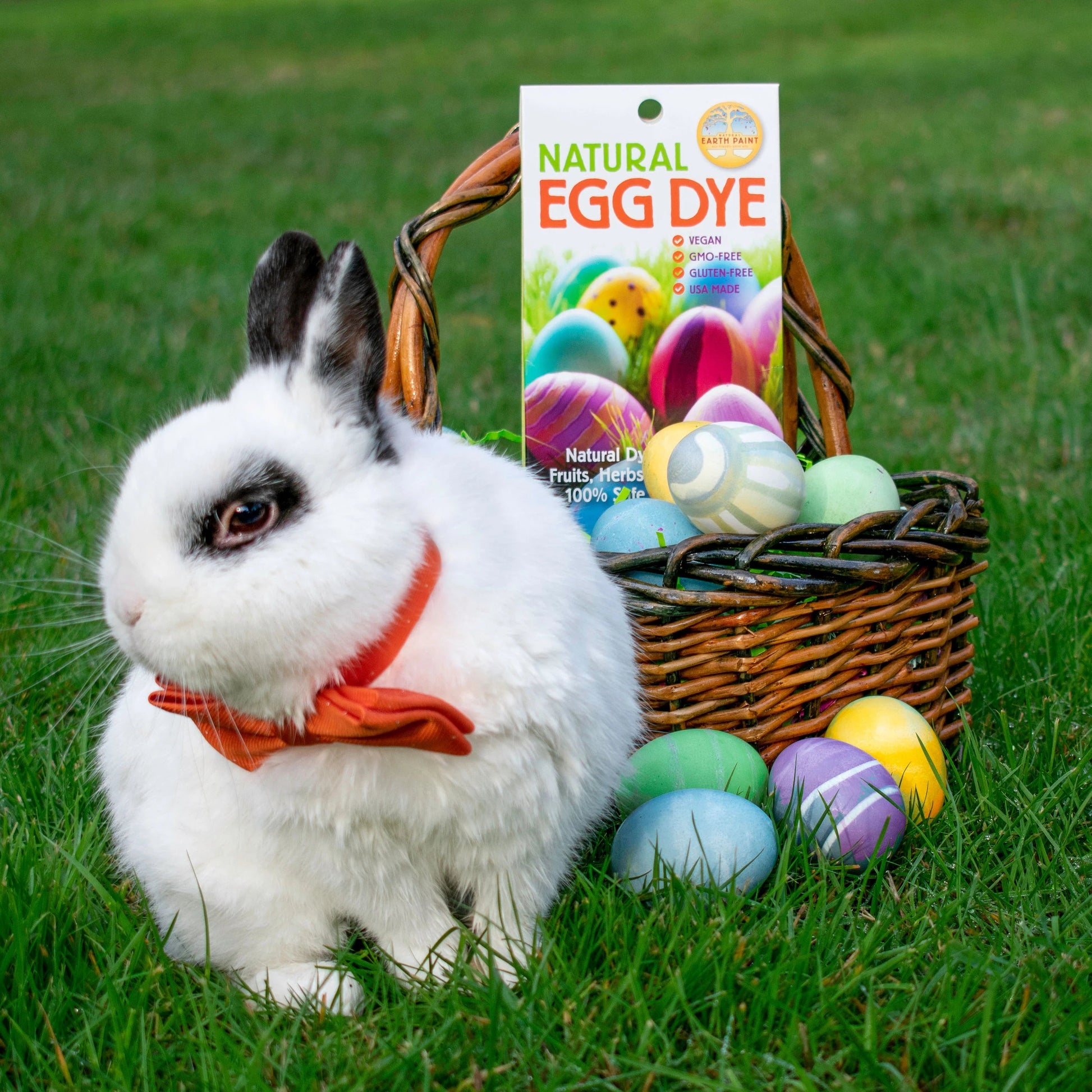 White rabbit next to a basket of Easter eggs and a package of natural egg dye