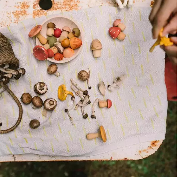 child playing with Grapat Mushroom Grove wooden playset on a picnic blanket