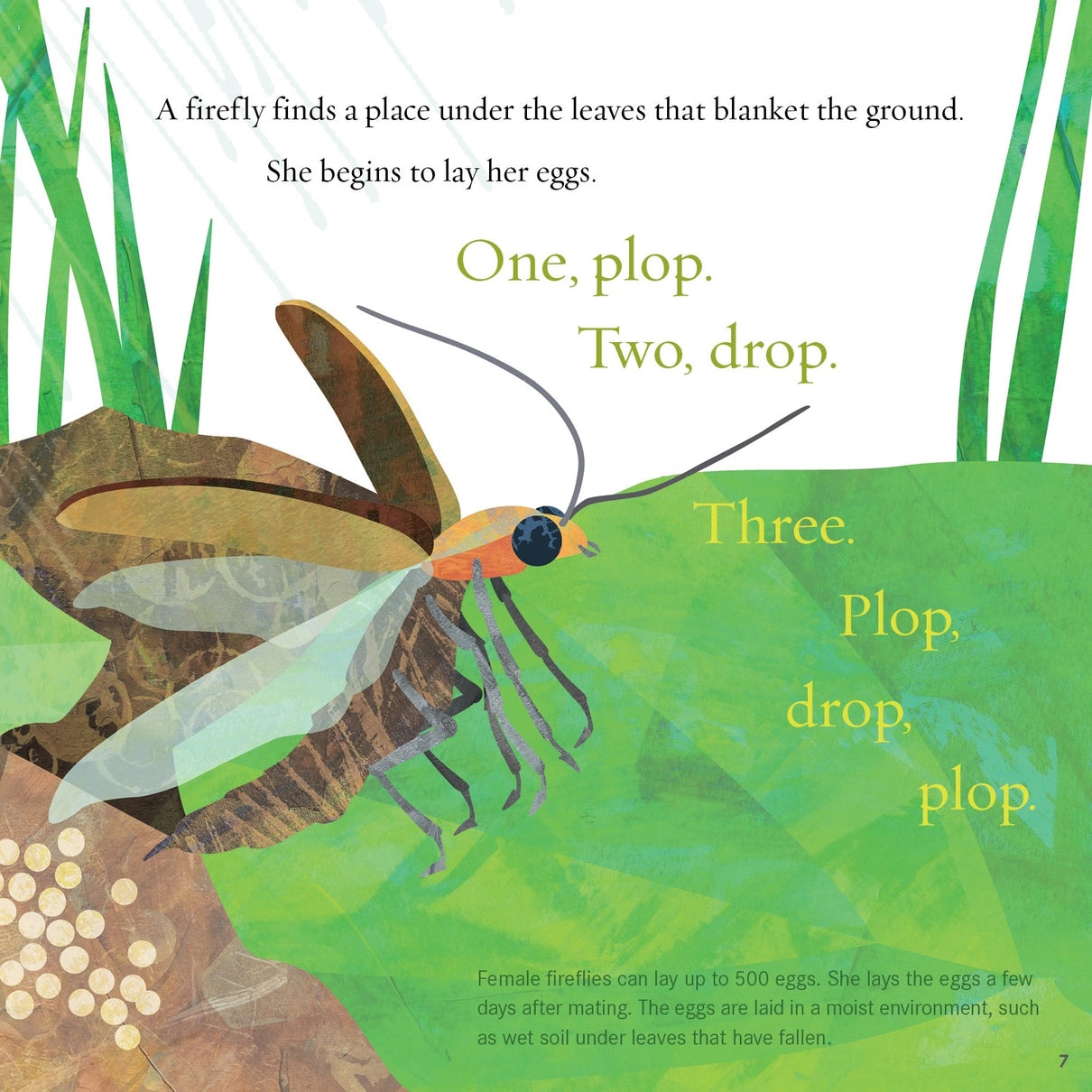 Light the Sky Firefly! Illustration of a firefly with text about firefly behavior