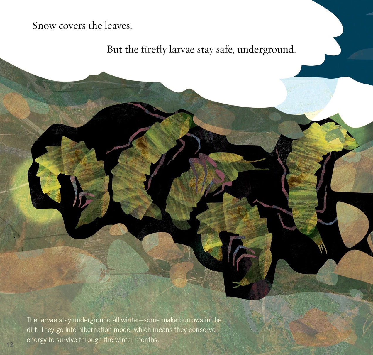 Light the Sky Firefly! Children's book illustration of fireflies underground