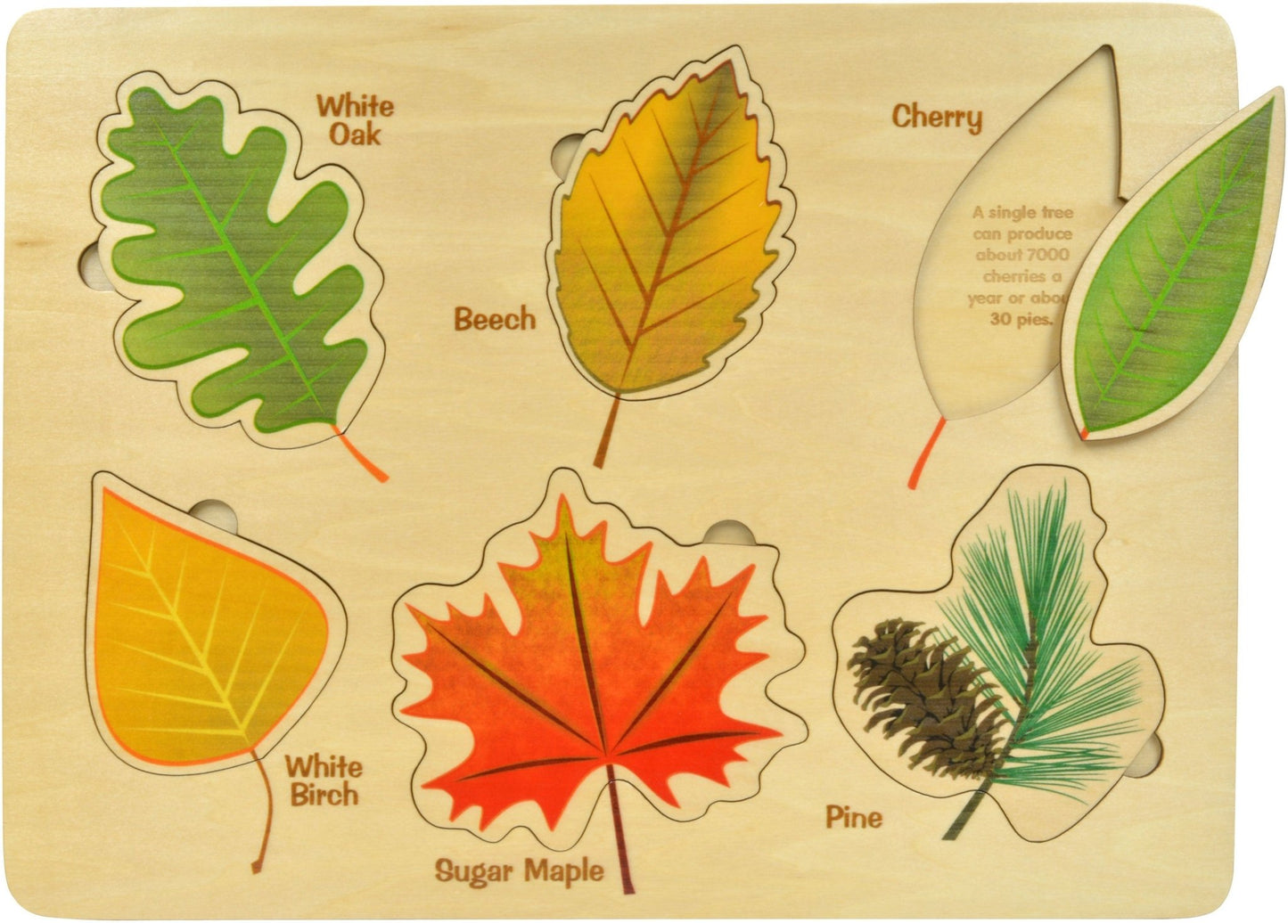 maple landmark wooden leaf puzzle