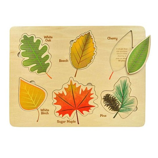 maple landmark montessori wooden leaf puzzle