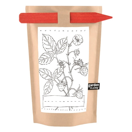 Kids strawberry garden in a bag kit with illustrations to color