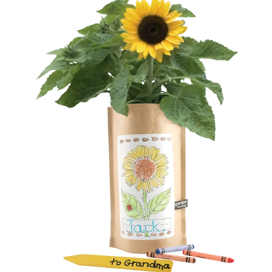 Kids garden in a bag Sunflower plant kit with crayons