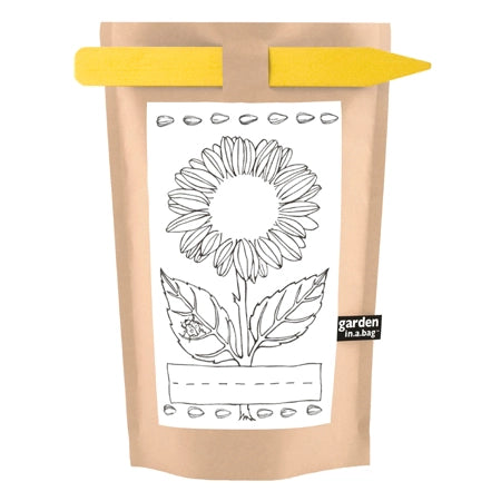 kids sunflower 'garden in a bag gift set