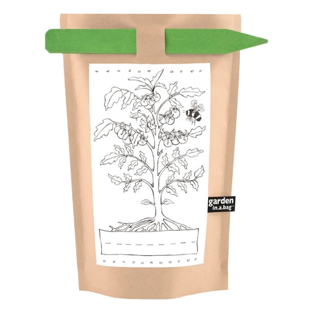 Potting Shed Creations Garden  in a Bag Tomoto plant with coloring label and garden stake. 
