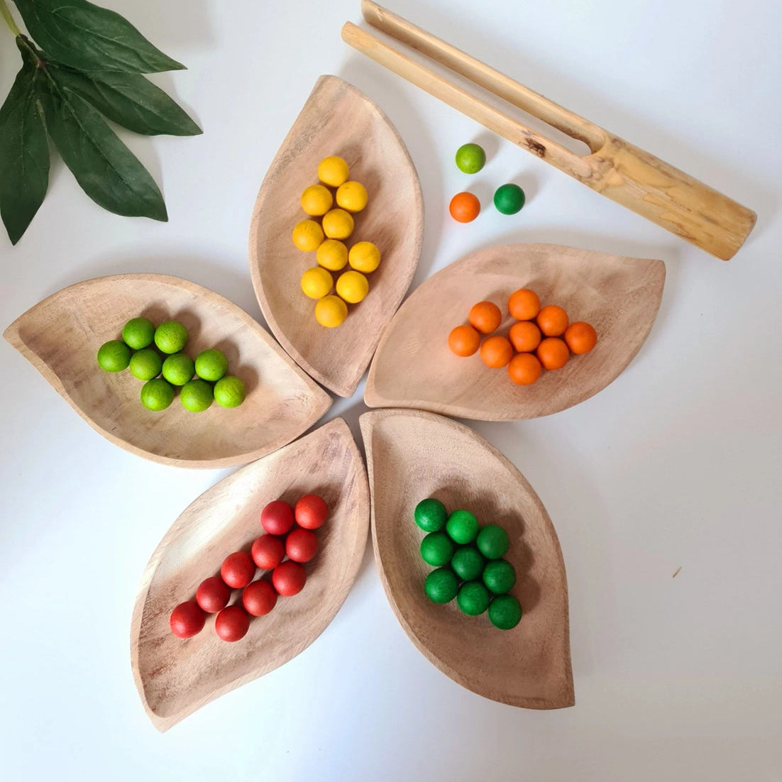 Qtoys natural wooden leaf trays sorting loose parts toys