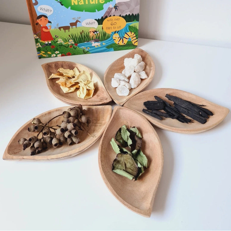 Qtoys natural wooden leaf trays filled with nature walk finds