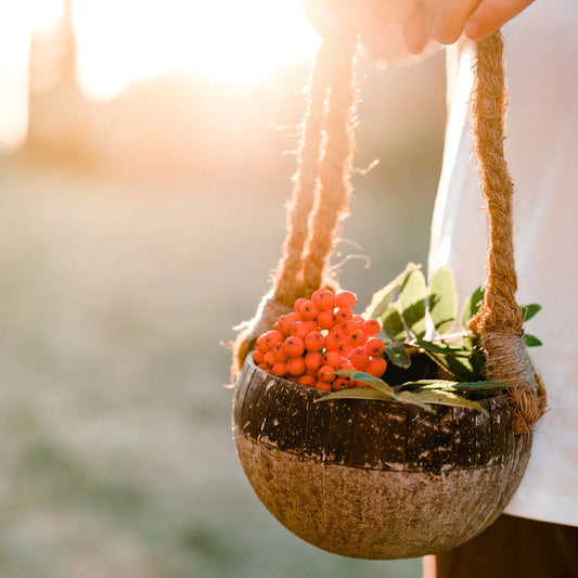 kid holding qtoys natural coconut basket with rope handle 