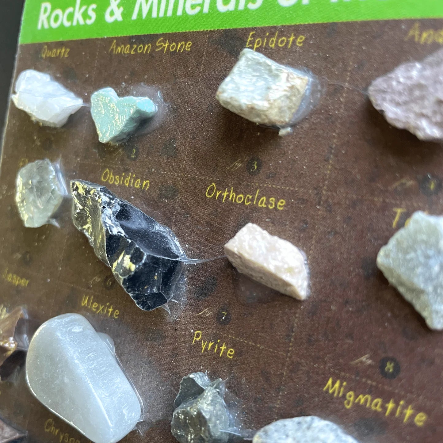 Collection of rocks and minerals for kids on a display card with labels.