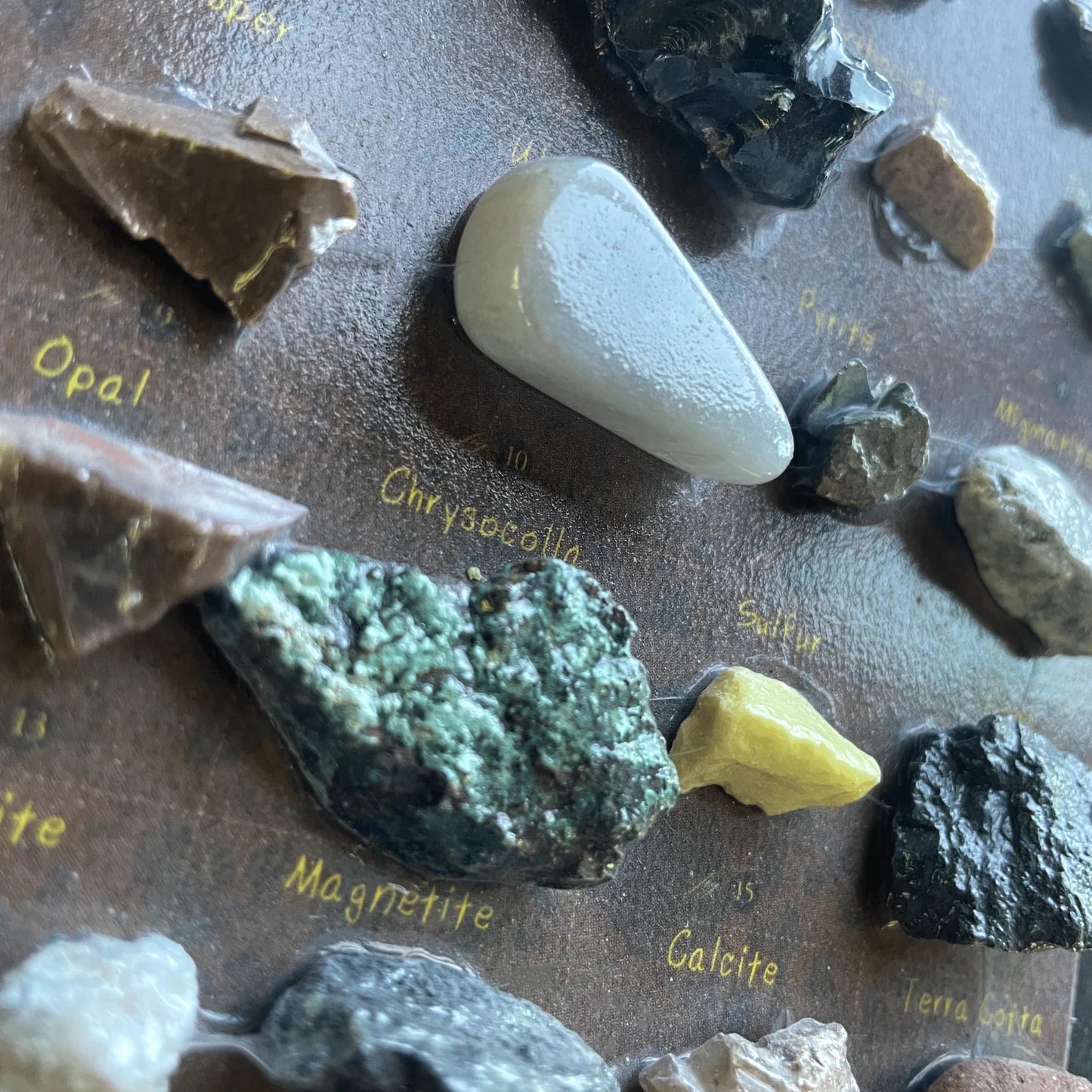 Gift collection of various minerals and rocks for kids with labels