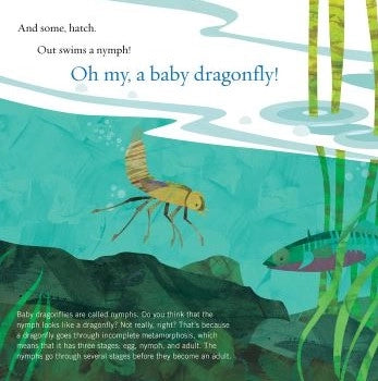Soar High Dragonfly children's book Illustrated page of a baby dragonfly swimming in water.