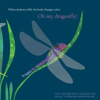 Soar High Dragonfly children's book illustrated page of dragonflies at nightmwith text about dragonflies' color changes.