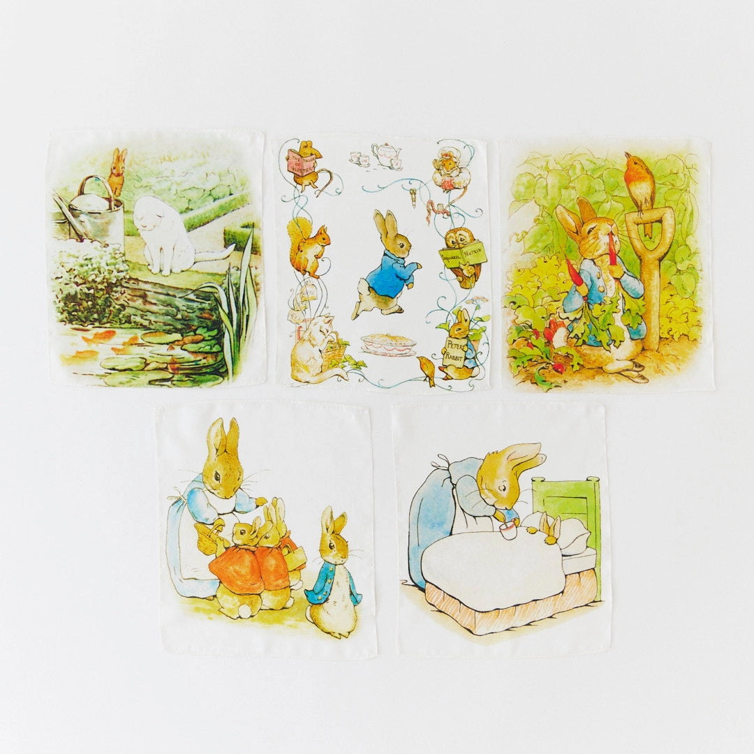 Sarah's Silks Beatrix Potter Peter Rabbit Illustrated mystery playsilks
