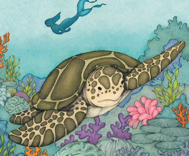 'Tallulah, Mermaid of the Great Lakes' children's picture book illustrated page featuring a watercolor-style sea turtle swimming among coral reef plants and sea life in the ocean.