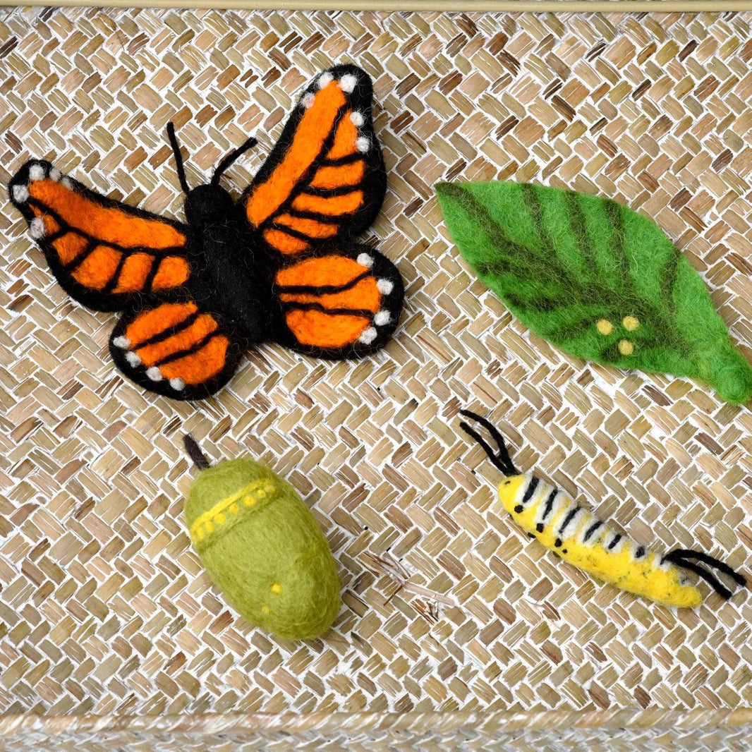 Tree Hollow Toys | Eco-friendly Natural Toys | Montessori | Waldorf