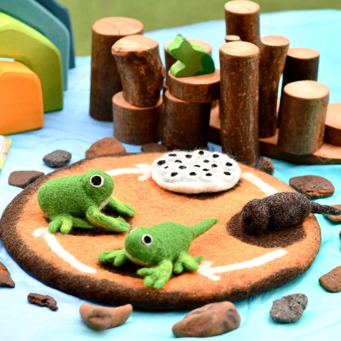 Educational toy frogs needle-felted lifecycle play set including a frog, tadpole and frog eggs