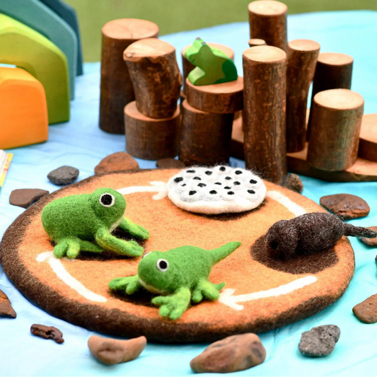 Educational toy frogs needle-felted lifecycle play set including a frog, tadpole and frog eggs