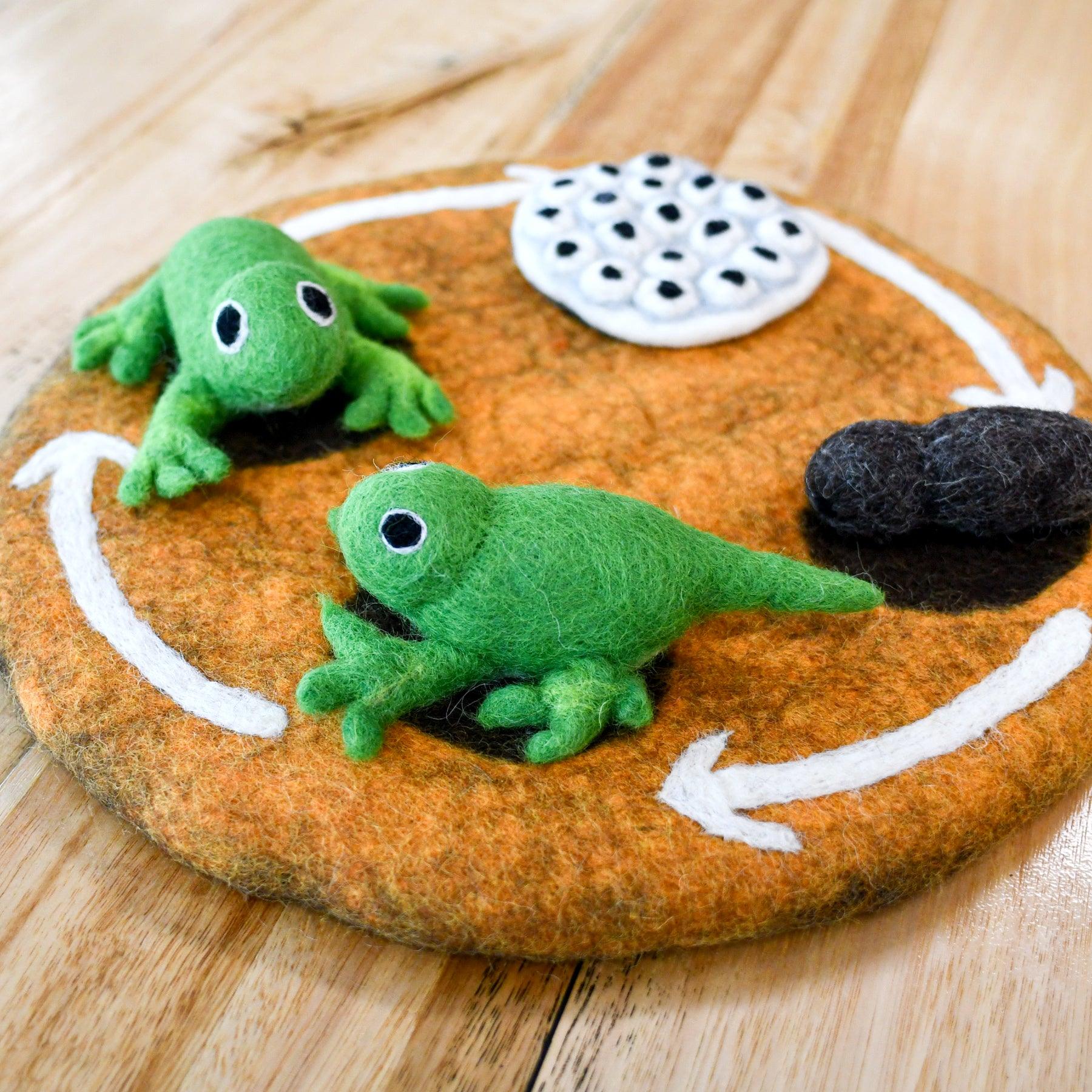 Tara Treasures felt frog lifecycle play set educational toys including frogs, tadpole and eggs