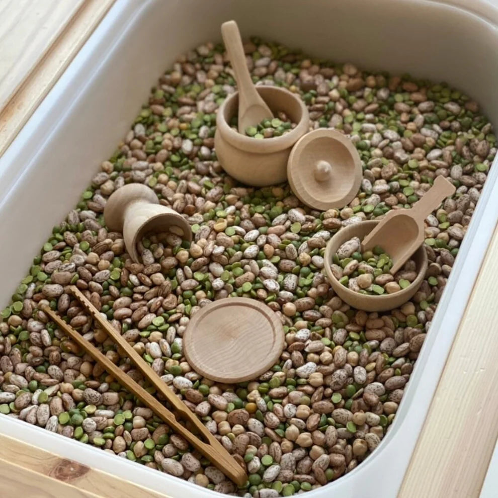 Wooden Montessori Sensory Bin Tools Made in USA