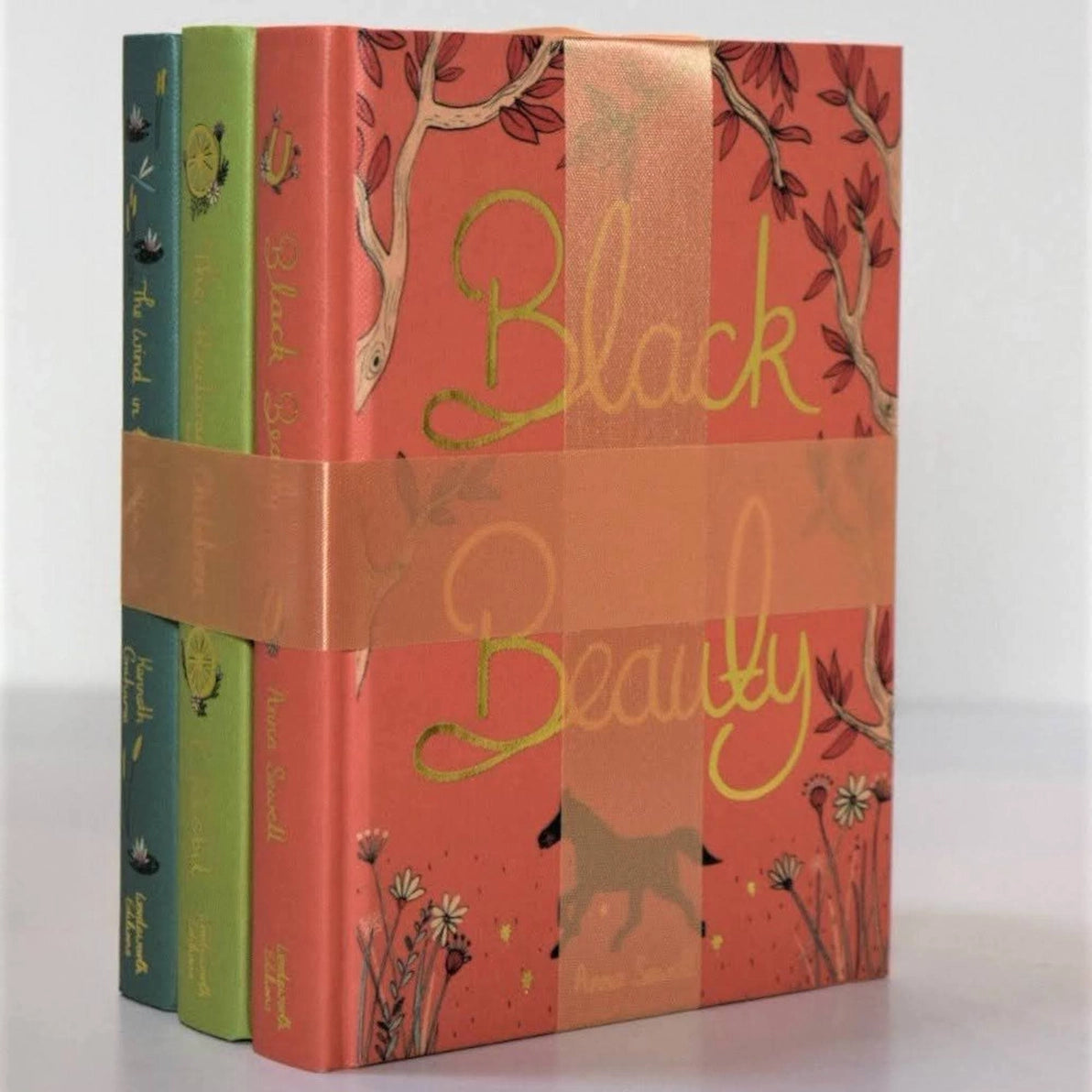 Wordsworth Children's Classics Hardcover Book Set vol 2
