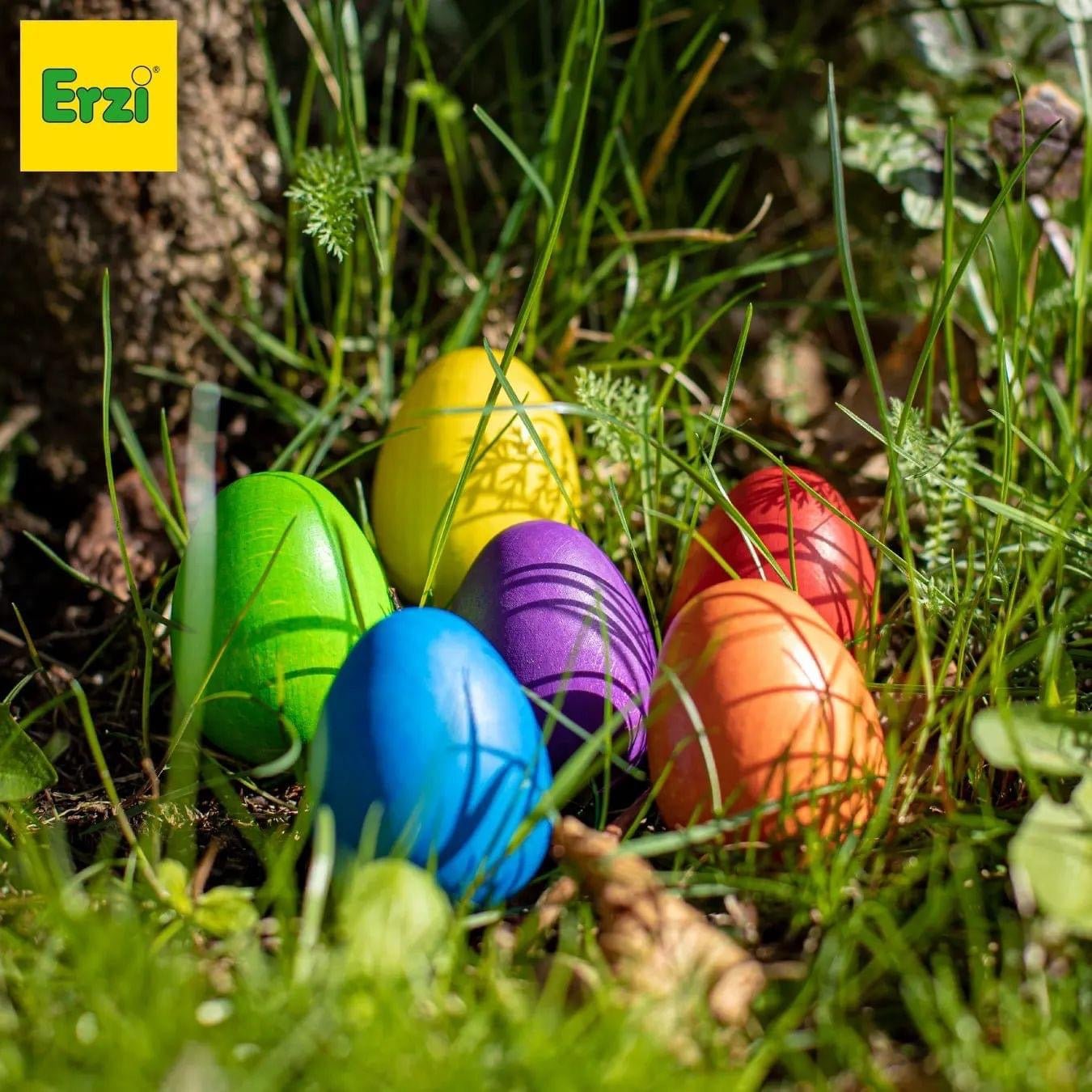 Erzi wooden colored eggs hidden in grass