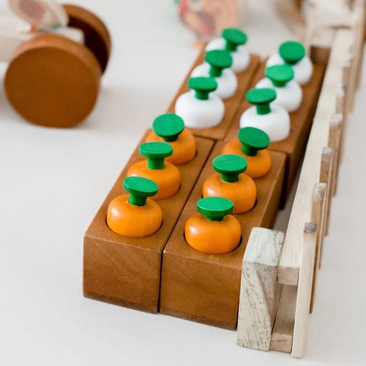 Wooden toy vegetable patch