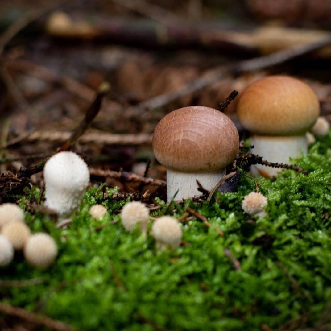 Erzi eco-friendly wooden mushrooms