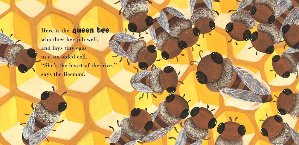the Beeman honeybee illustration children's book