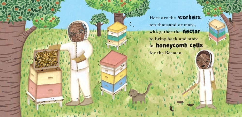 the beeman beekeeper children's book illustration